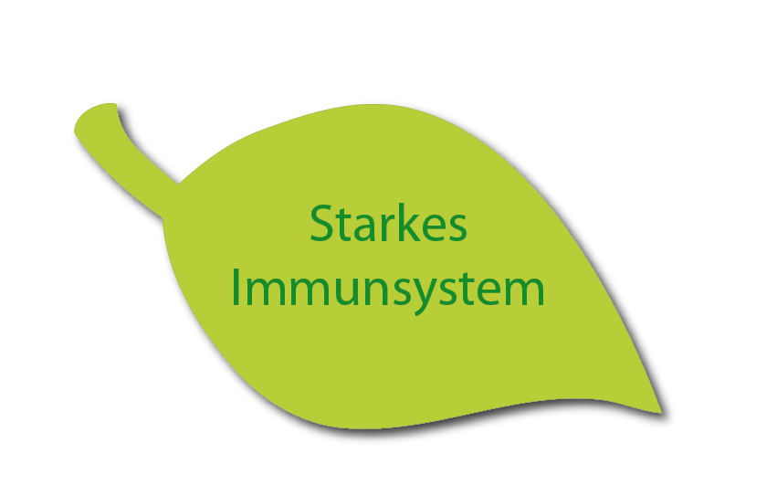 Immunsystem stärken