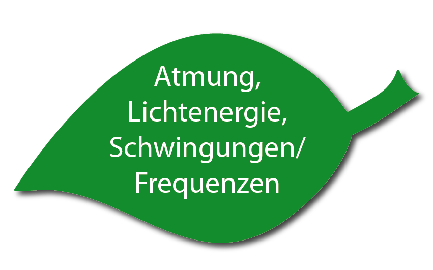 Atmung, Lichtenergie, Schwingungen und Frequenzen